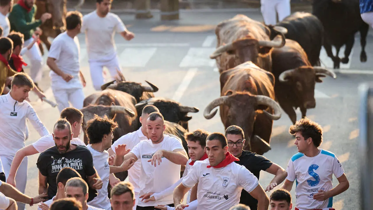 Primer encierro de fiestas de Tudela 2026 con novillos de Eulogio Mateo. PABLO LASAOSA
