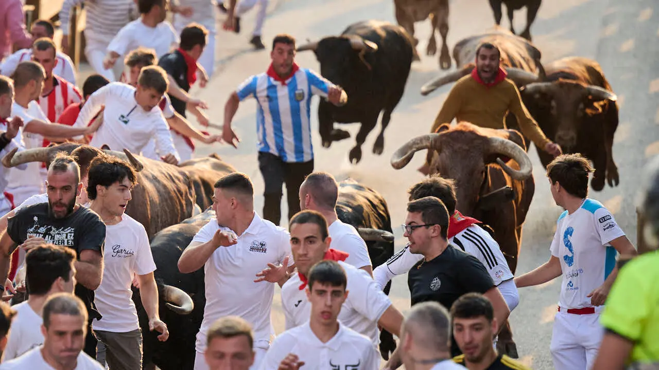 Primer encierro de fiestas de Tudela 2026 con novillos de Eulogio Mateo. PABLO LASAOSA