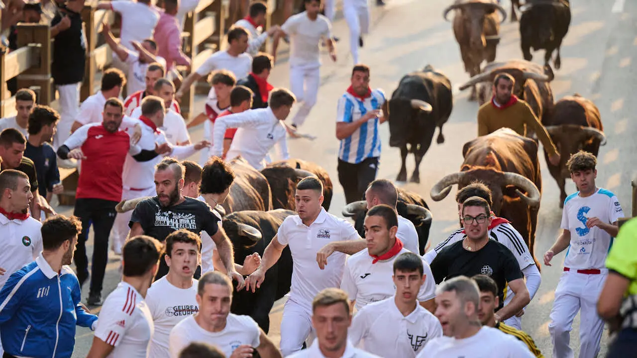Primer encierro de fiestas de Tudela 2026 con novillos de Eulogio Mateo. PABLO LASAOSA