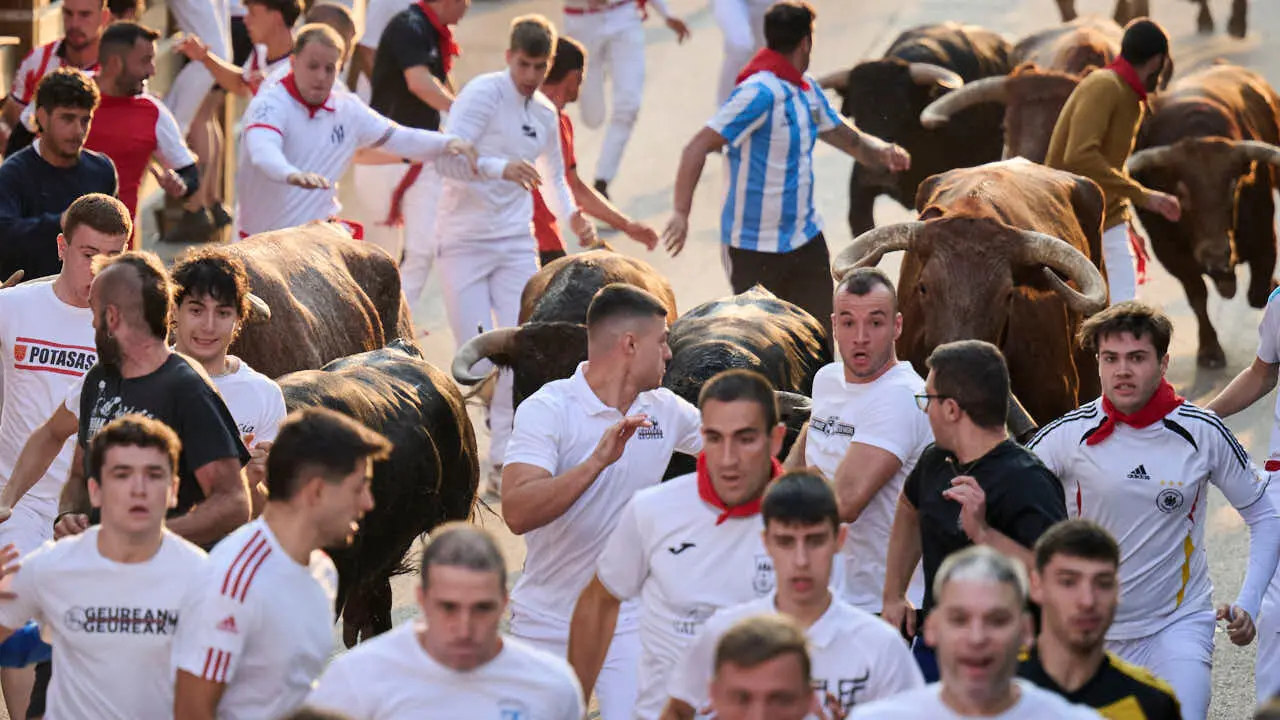 Primer encierro de fiestas de Tudela 2026 con novillos de Eulogio Mateo. PABLO LASAOSA