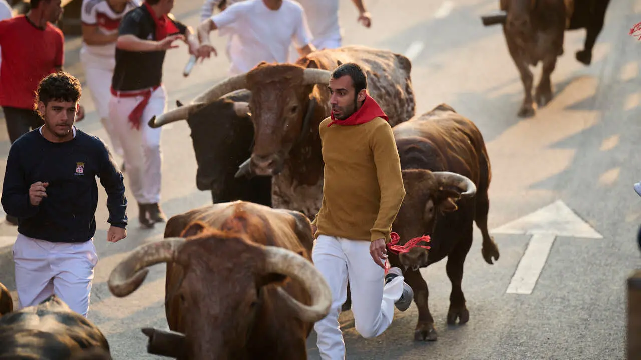 Primer encierro de fiestas de Tudela 2026 con novillos de Eulogio Mateo. PABLO LASAOSA