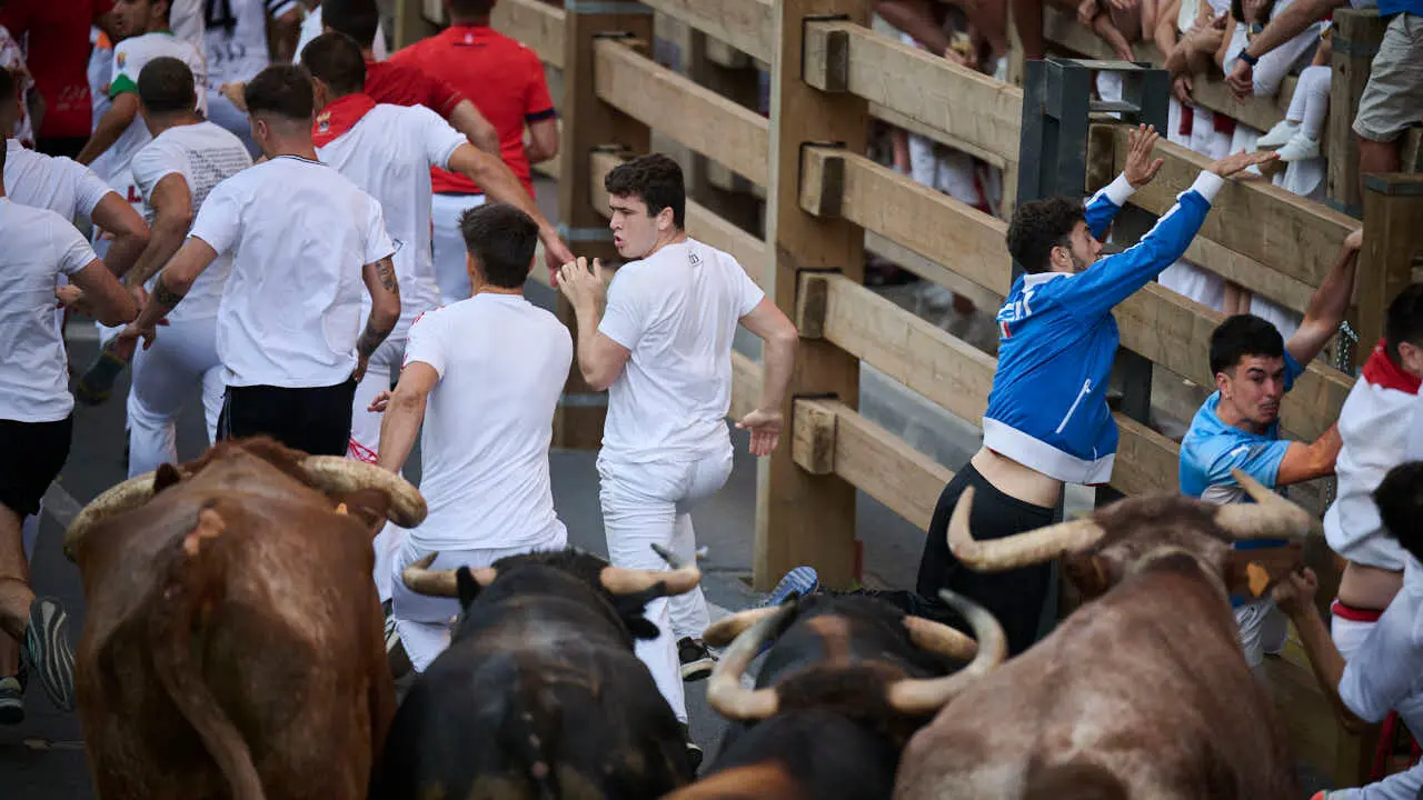 Primer encierro de fiestas de Tudela 2026 con novillos de Eulogio Mateo. PABLO LASAOSA