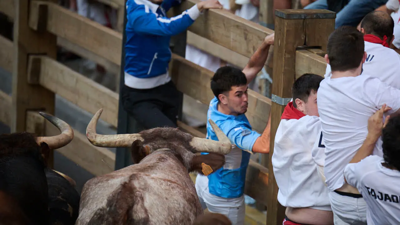 Primer encierro de fiestas de Tudela 2026 con novillos de Eulogio Mateo. PABLO LASAOSA