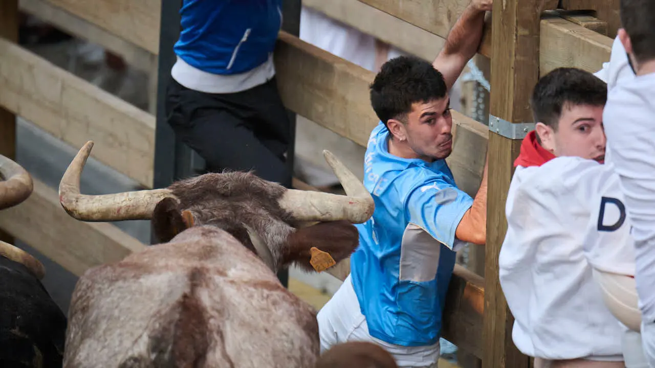 Primer encierro de fiestas de Tudela 2026 con novillos de Eulogio Mateo. PABLO LASAOSA