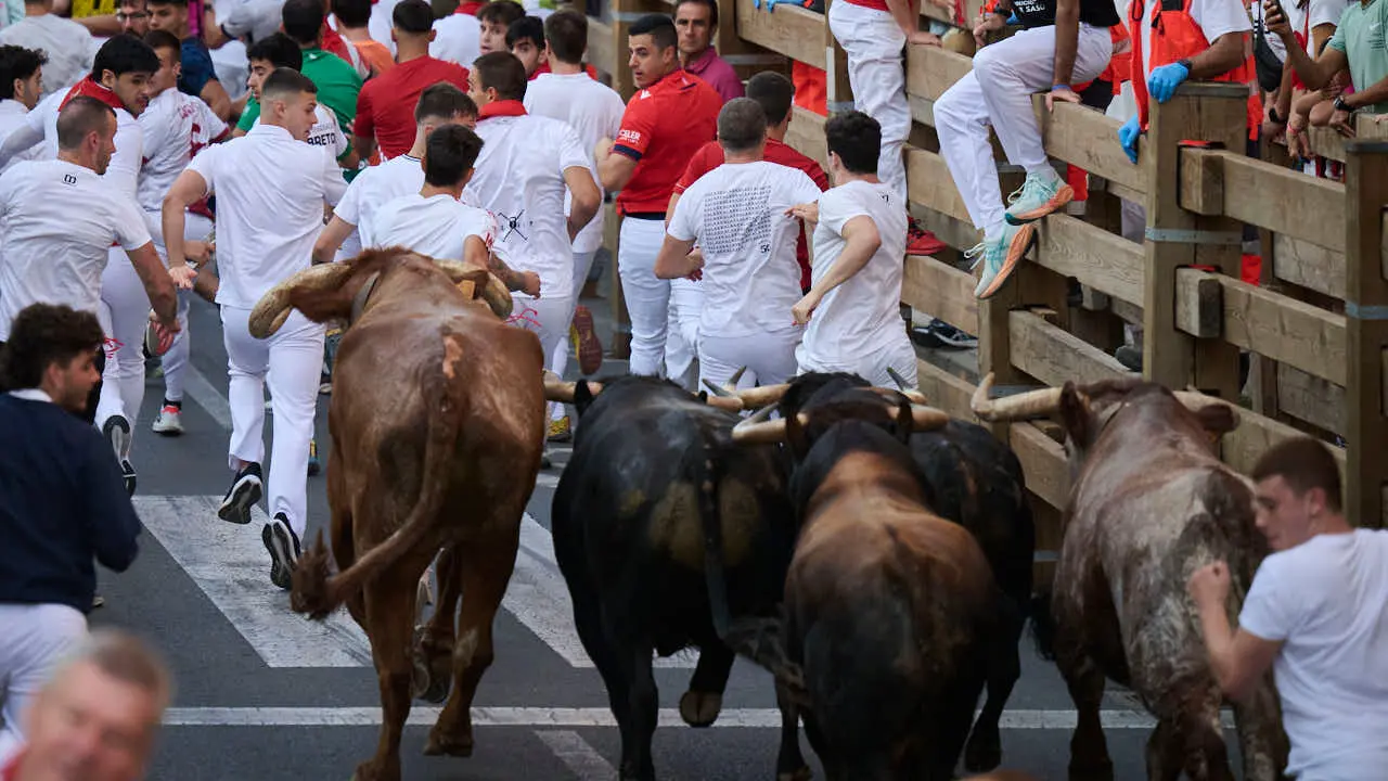 Primer encierro de fiestas de Tudela 2026 con novillos de Eulogio Mateo. PABLO LASAOSA