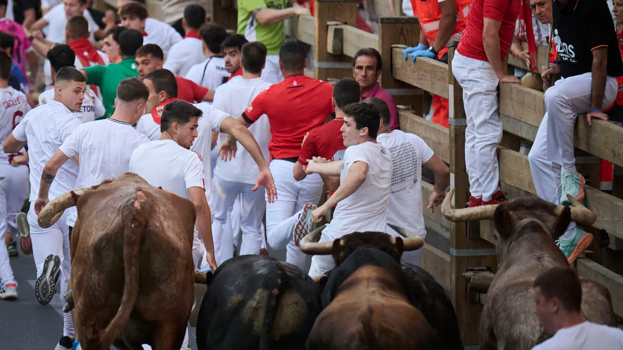 Primer encierro de fiestas de Tudela 2026 con novillos de Eulogio Mateo. PABLO LASAOSA