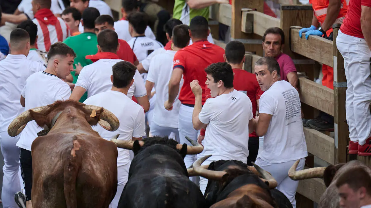 Primer encierro de fiestas de Tudela 2026 con novillos de Eulogio Mateo. PABLO LASAOSA
