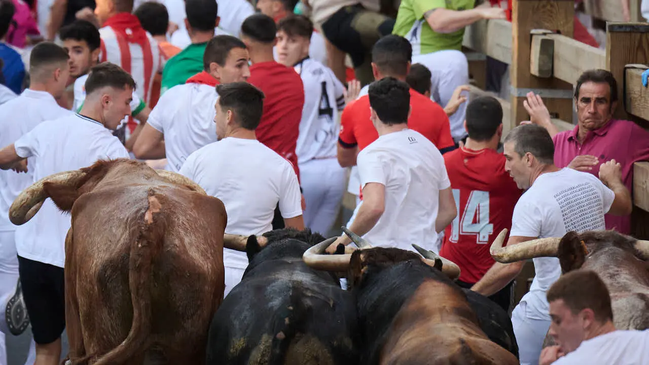 Primer encierro de fiestas de Tudela 2026 con novillos de Eulogio Mateo. PABLO LASAOSA