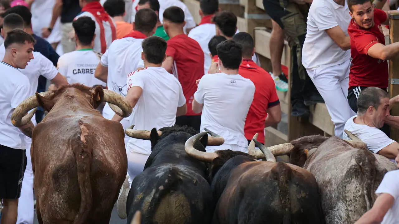 Primer encierro de fiestas de Tudela 2026 con novillos de Eulogio Mateo. PABLO LASAOSA