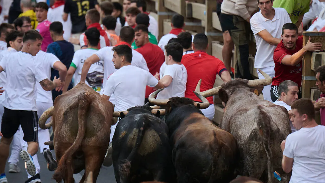 Primer encierro de fiestas de Tudela 2026 con novillos de Eulogio Mateo. PABLO LASAOSA