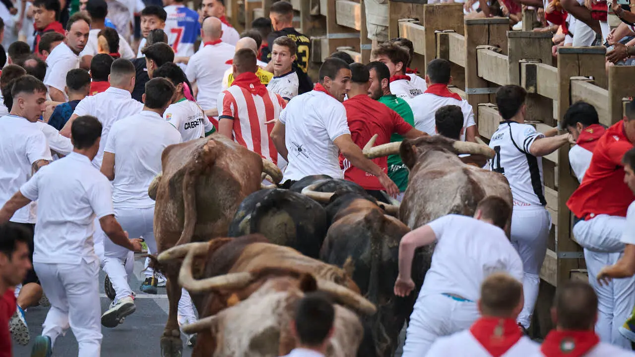 Primer encierro de fiestas de Tudela 2026 con novillos de Eulogio Mateo. PABLO LASAOSA