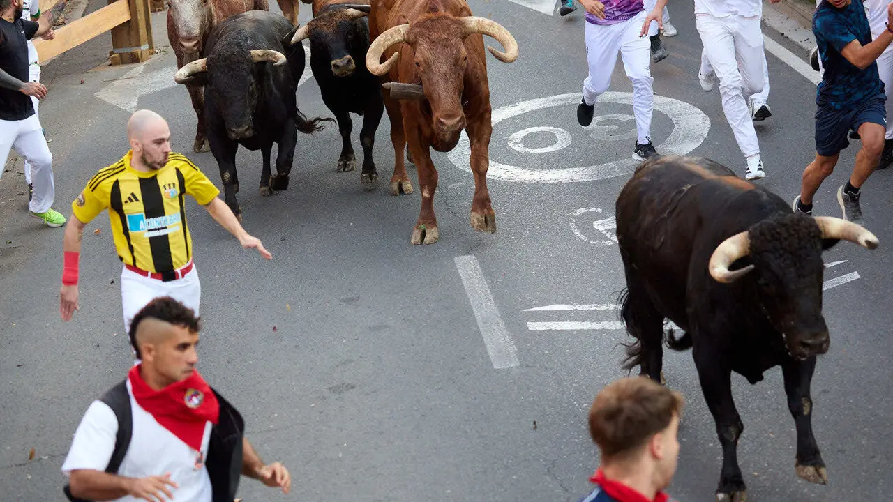 Primer encierro de las Fiestas de Tudela 2026. I&Ntilde;IGO ALZUGARAY