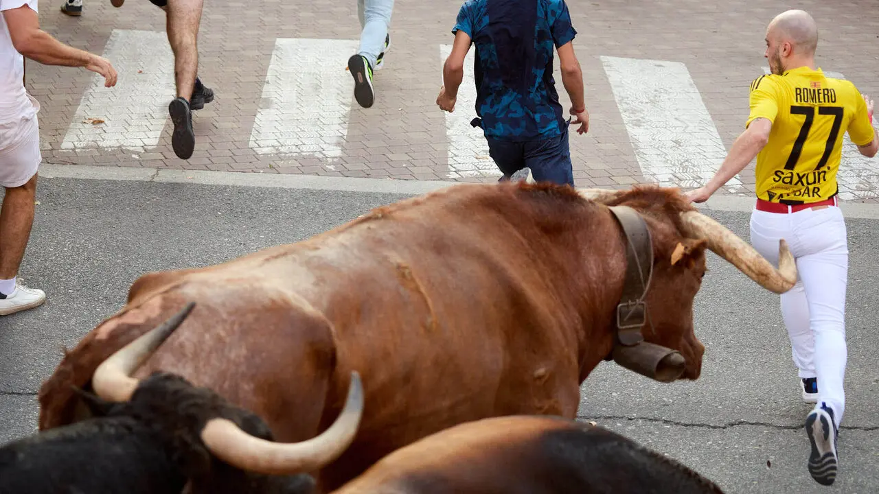 Primer encierro de las Fiestas de Tudela 2026. I&Ntilde;IGO ALZUGARAY