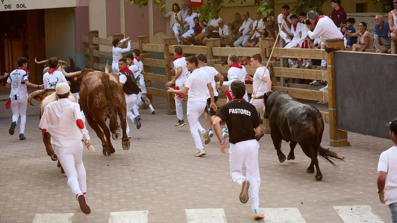 Primer encierro de las Fiestas de Tudela 2026. I&Ntilde;IGO ALZUGARAY