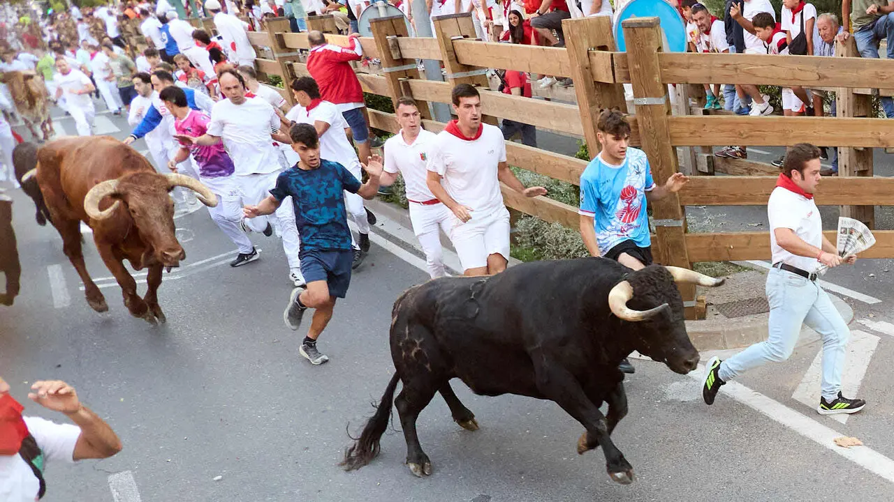 Primer encierro de las Fiestas de Tudela 2026. I&Ntilde;IGO ALZUGARAY