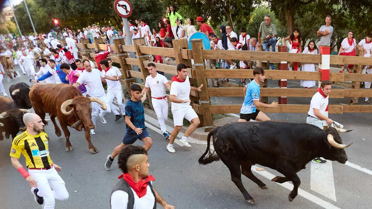 Primer encierro de las Fiestas de Tudela 2026. I&Ntilde;IGO ALZUGARAY
