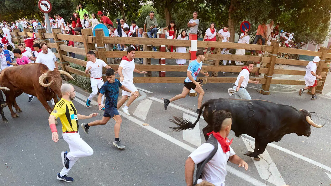 Primer encierro de las Fiestas de Tudela 2026. I&Ntilde;IGO ALZUGARAY