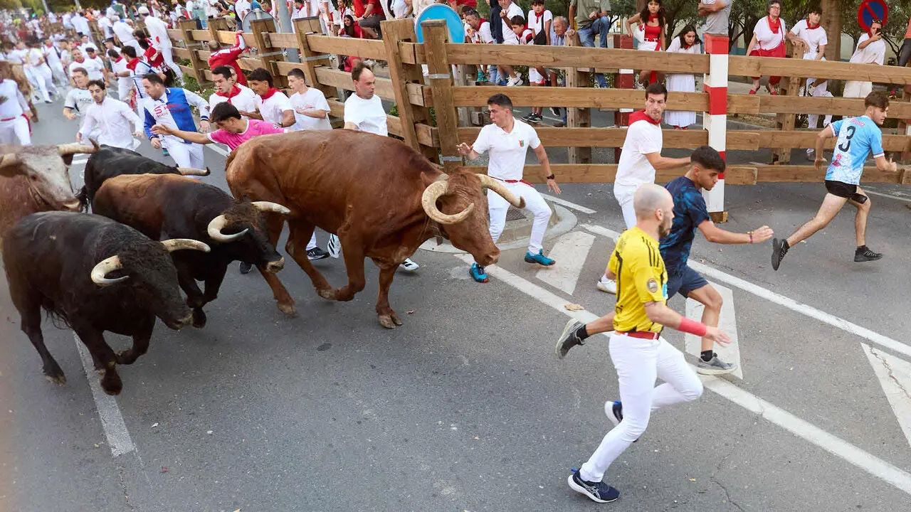 Primer encierro de las Fiestas de Tudela 2026. I&Ntilde;IGO ALZUGARAY