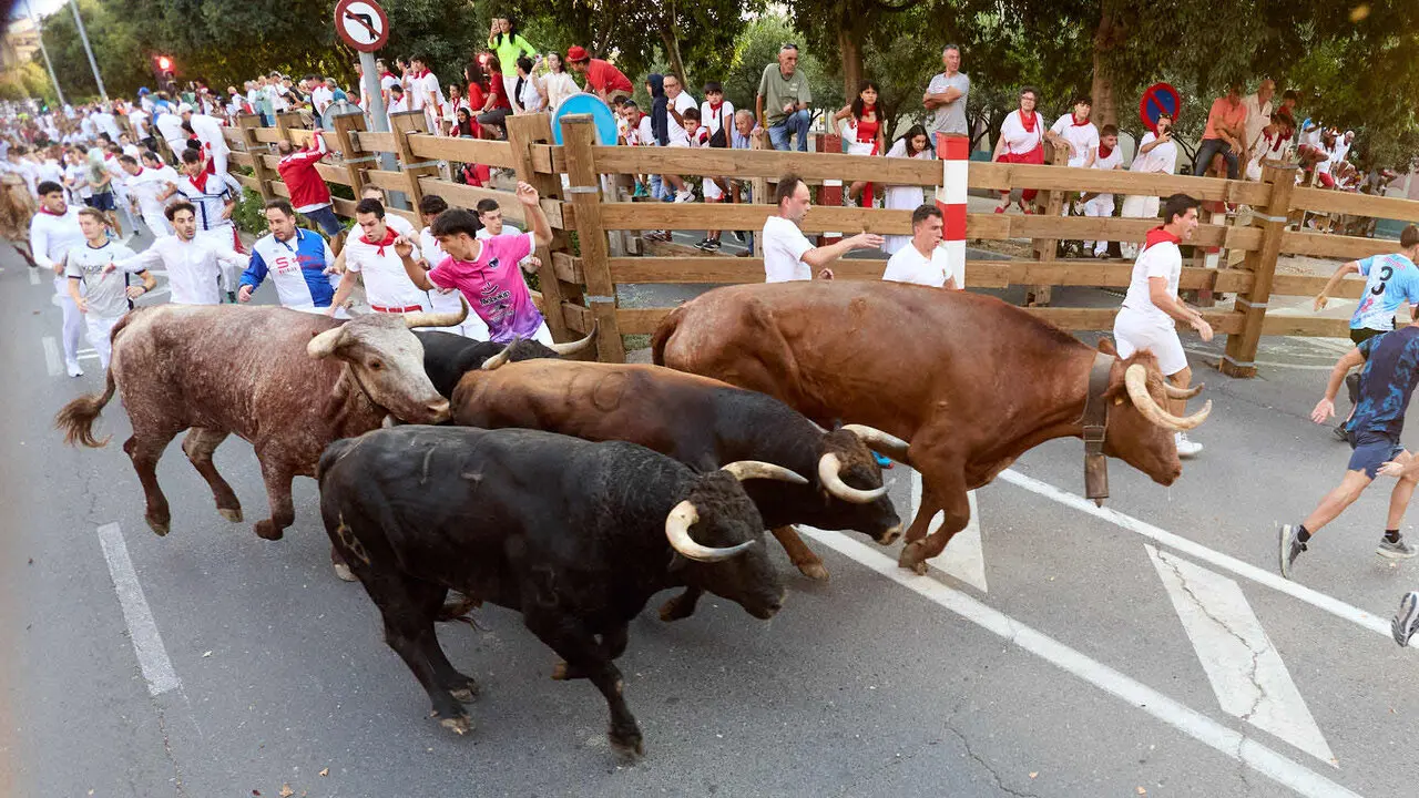 Primer encierro de las Fiestas de Tudela 2026. I&Ntilde;IGO ALZUGARAY