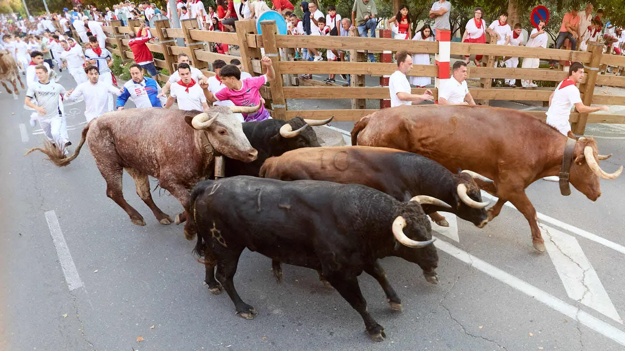 Primer encierro de las Fiestas de Tudela 2026. I&Ntilde;IGO ALZUGARAY