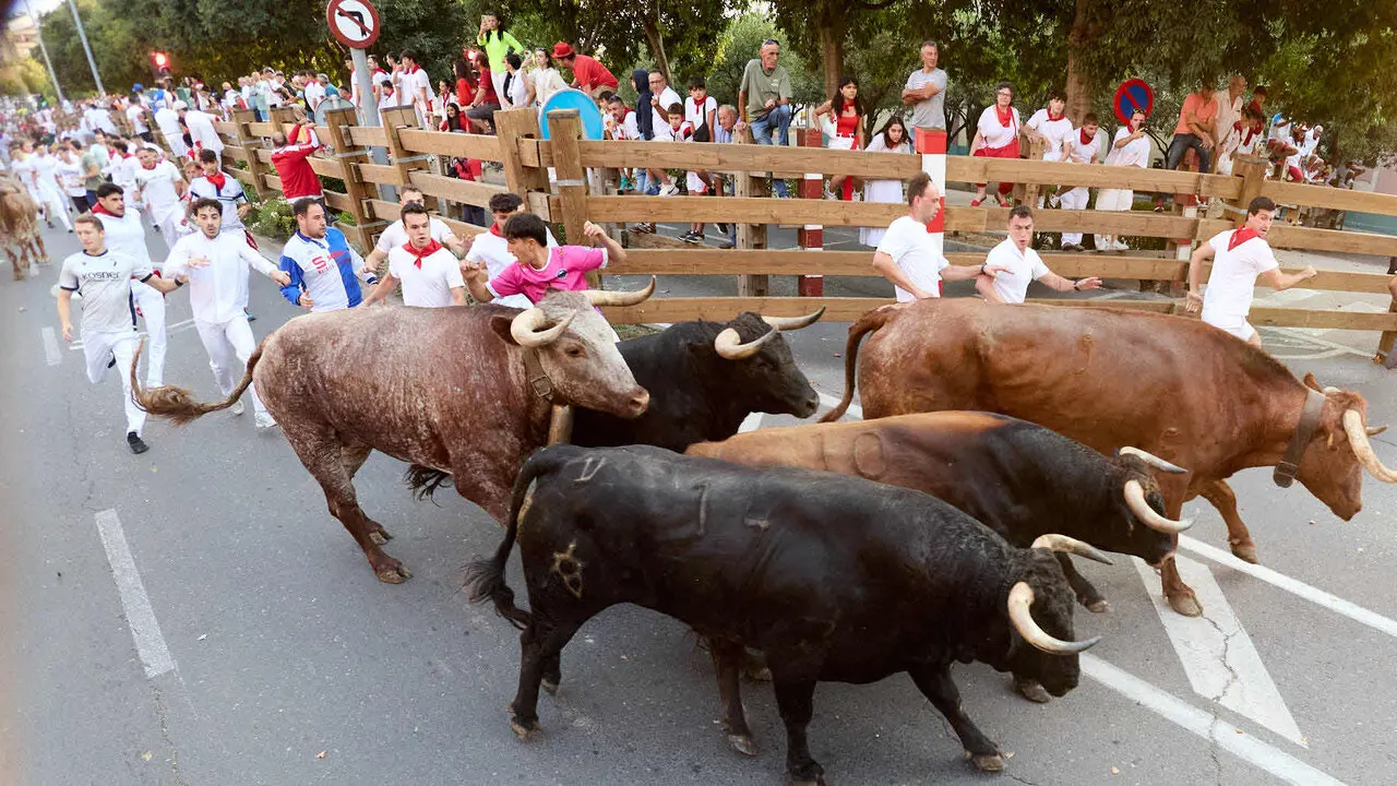 Primer encierro de las Fiestas de Tudela 2026. I&Ntilde;IGO ALZUGARAY