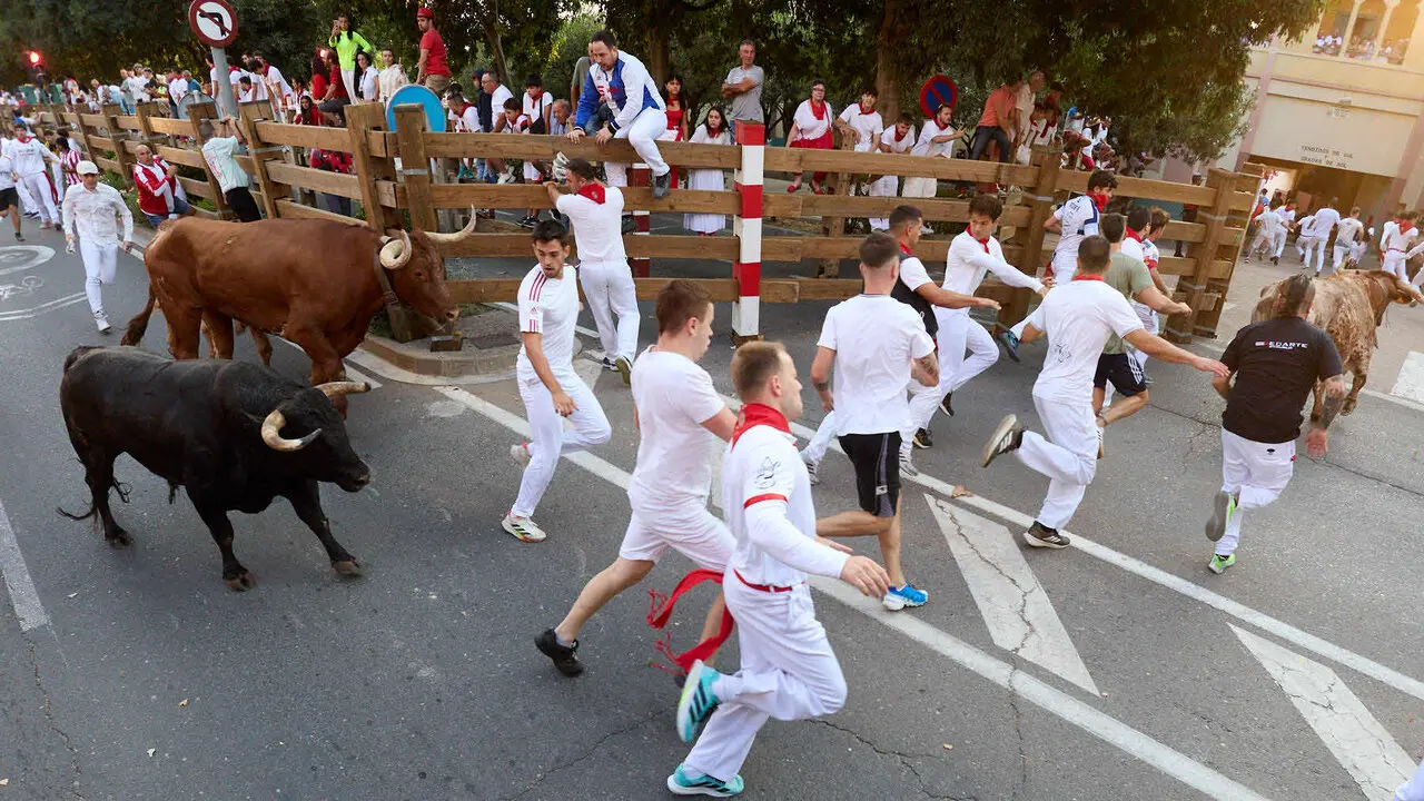 Primer encierro de las Fiestas de Tudela 2026. I&Ntilde;IGO ALZUGARAY