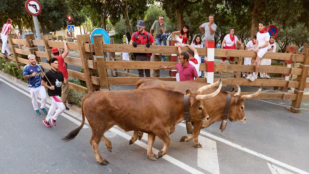 Primer encierro de las Fiestas de Tudela 2026. I&Ntilde;IGO ALZUGARAY