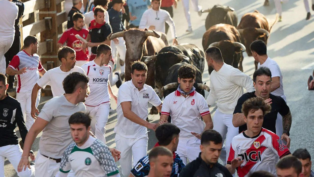 Tercer encierro de las Fiestas de Tudela 2026. I&Ntilde;IGO ALZUGARAY