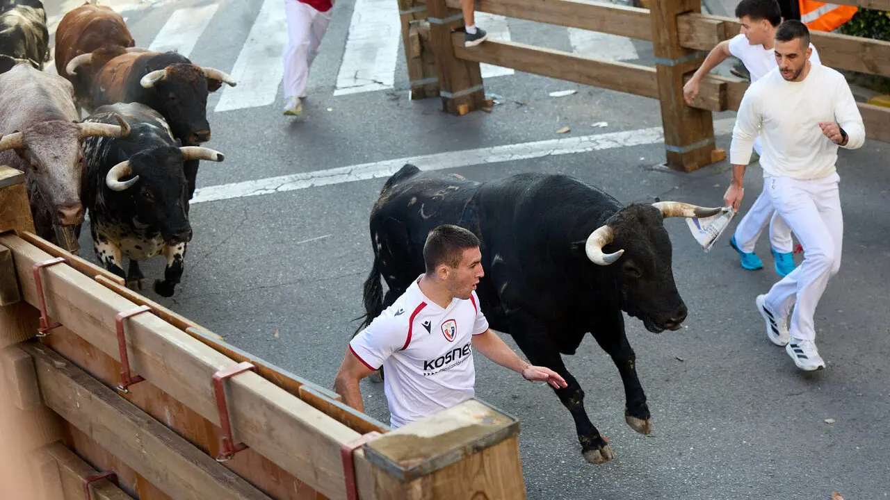 Tercer encierro de las Fiestas de Tudela 2026. I&Ntilde;IGO ALZUGARAY