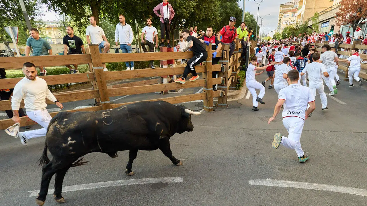Tercer encierro de las Fiestas de Tudela 2026. I&Ntilde;IGO ALZUGARAY