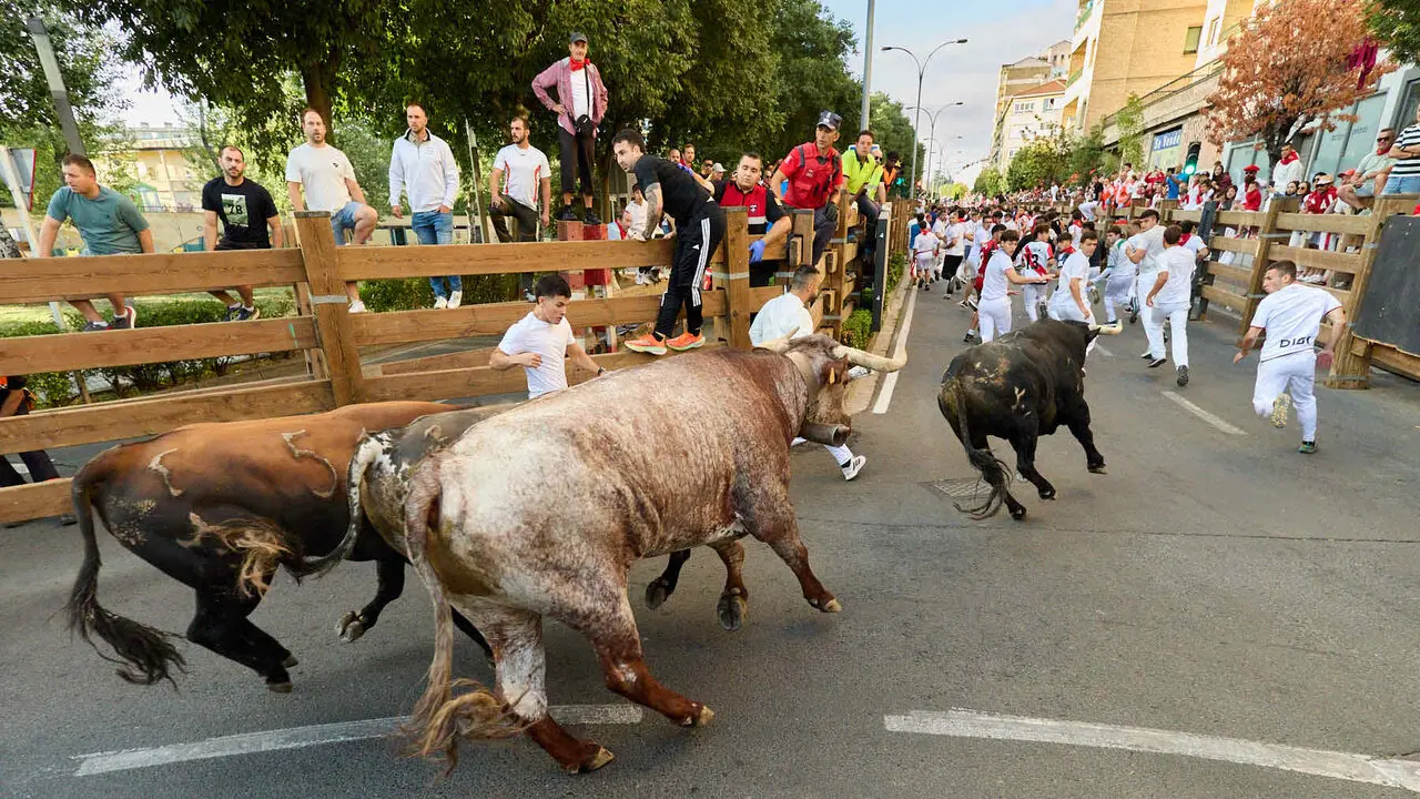 Tercer encierro de las Fiestas de Tudela 2026. I&Ntilde;IGO ALZUGARAY