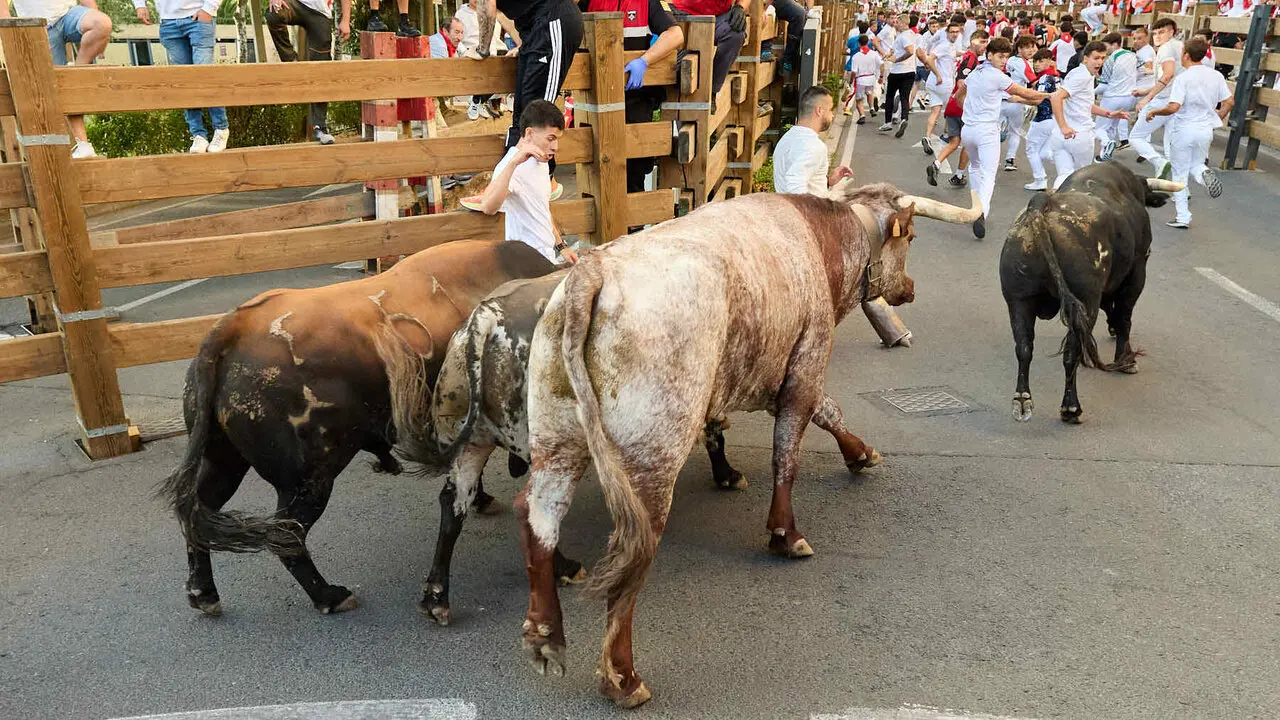 Tercer encierro de las Fiestas de Tudela 2026. I&Ntilde;IGO ALZUGARAY