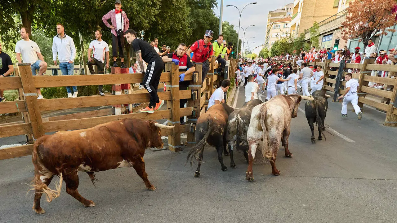 Tercer encierro de las Fiestas de Tudela 2026. I&Ntilde;IGO ALZUGARAY