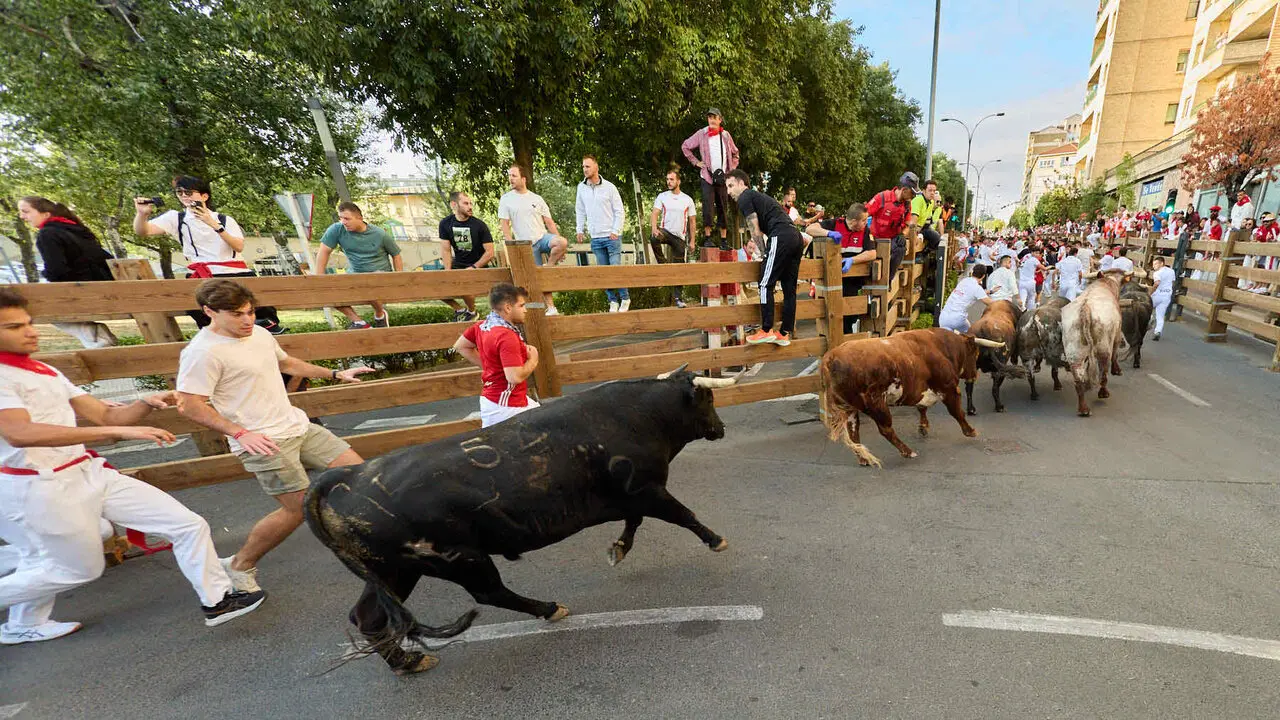 Tercer encierro de las Fiestas de Tudela 2026. I&Ntilde;IGO ALZUGARAY
