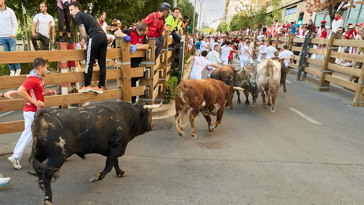Tercer encierro de las Fiestas de Tudela 2026. I&Ntilde;IGO ALZUGARAY