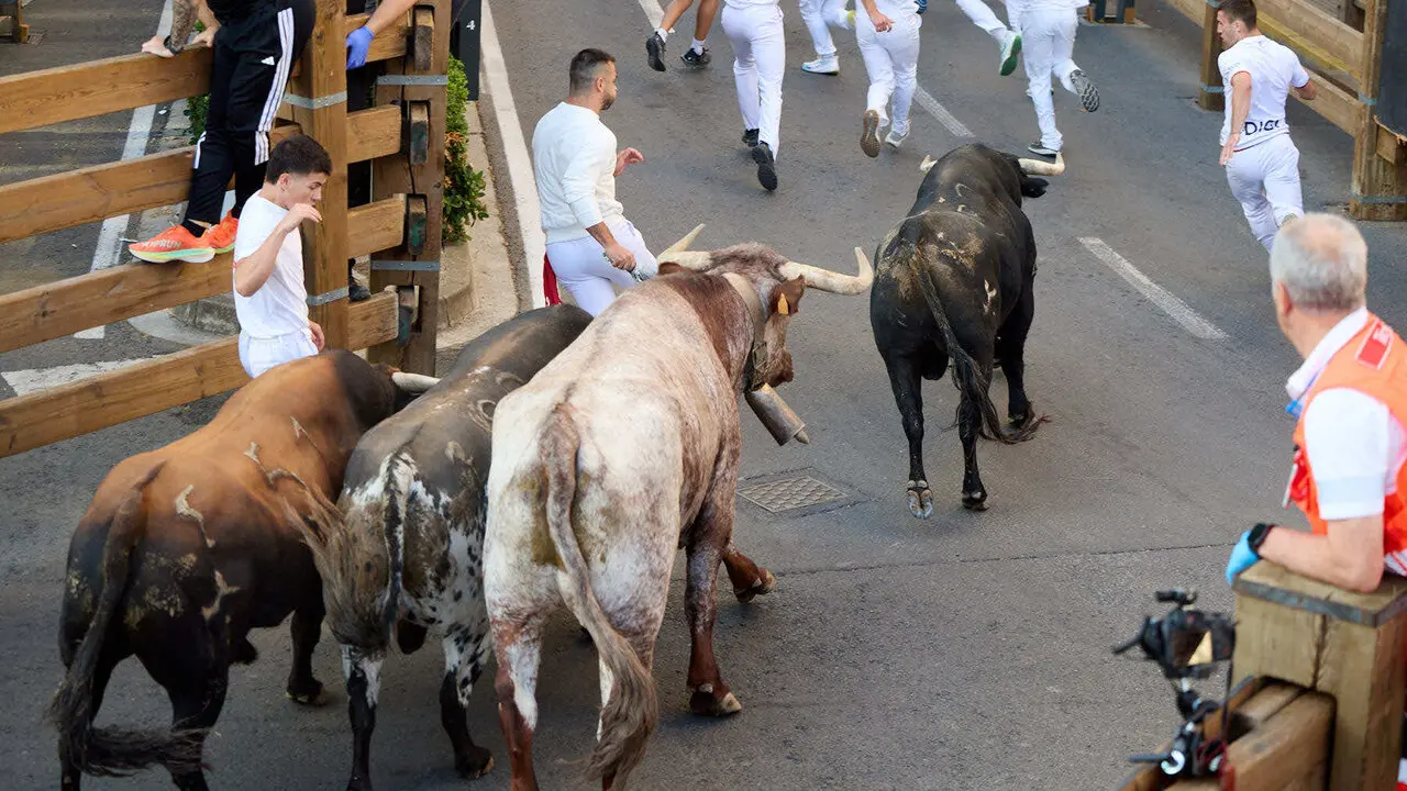 Tercer encierro de las Fiestas de Tudela 2026. I&Ntilde;IGO ALZUGARAY