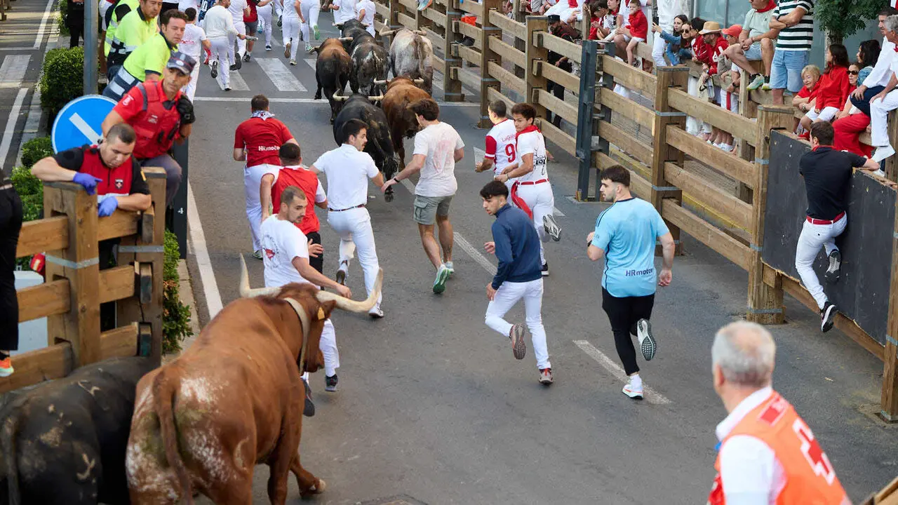 Tercer encierro de las Fiestas de Tudela 2026. I&Ntilde;IGO ALZUGARAY