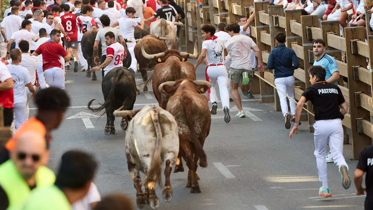 Tercer encierro de las Fiestas de Tudela 2026. I&Ntilde;IGO ALZUGARAY