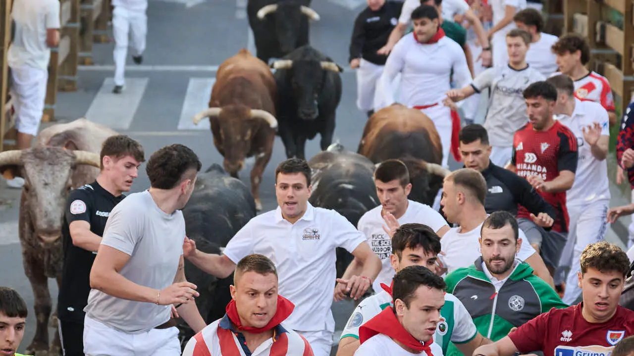 Tercer encierro de fiestas de Tudela 2026 con toros de Ojali&eacute;n. PABLO LASAOSA