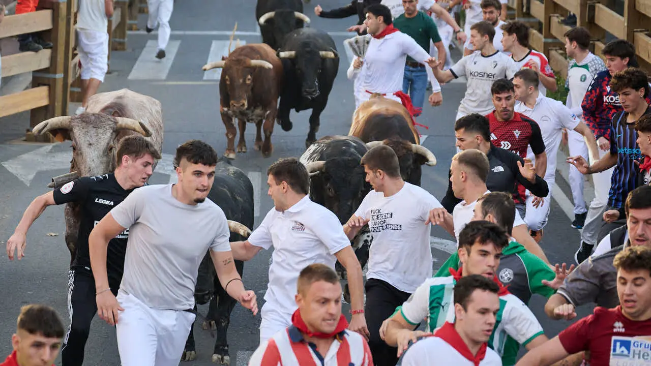 Tercer encierro de fiestas de Tudela 2026 con toros de Ojali&eacute;n. PABLO LASAOSA