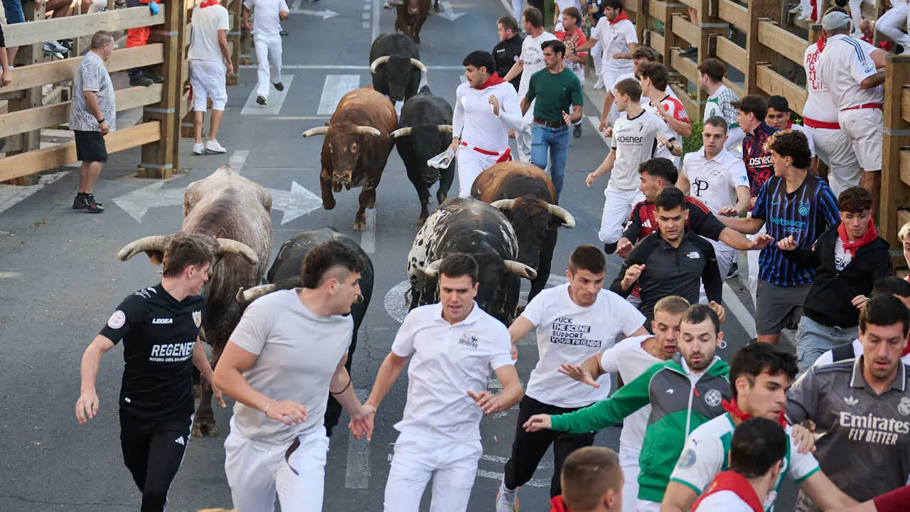 Tercer encierro de fiestas de Tudela 2026 con toros de Ojali&eacute;n. PABLO LASAOSA