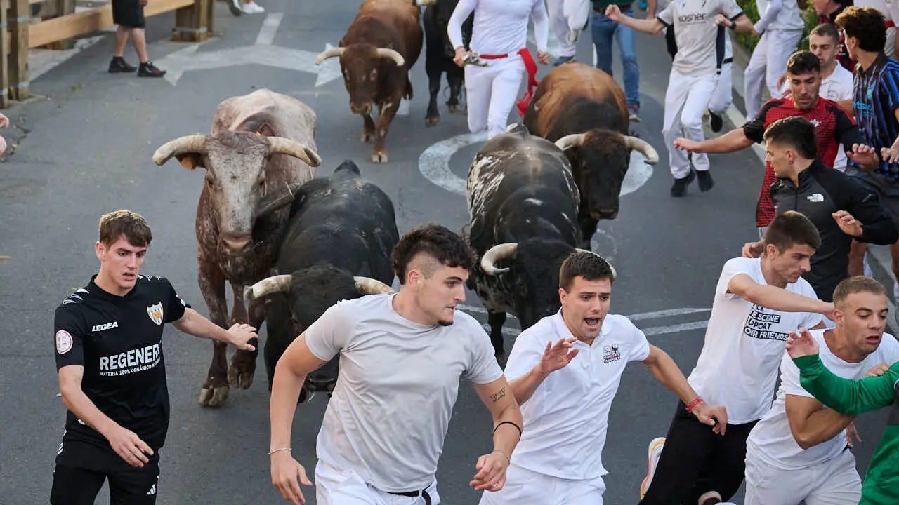 Tercer encierro de fiestas de Tudela 2026 con toros de Ojali&eacute;n. PABLO LASAOSA
