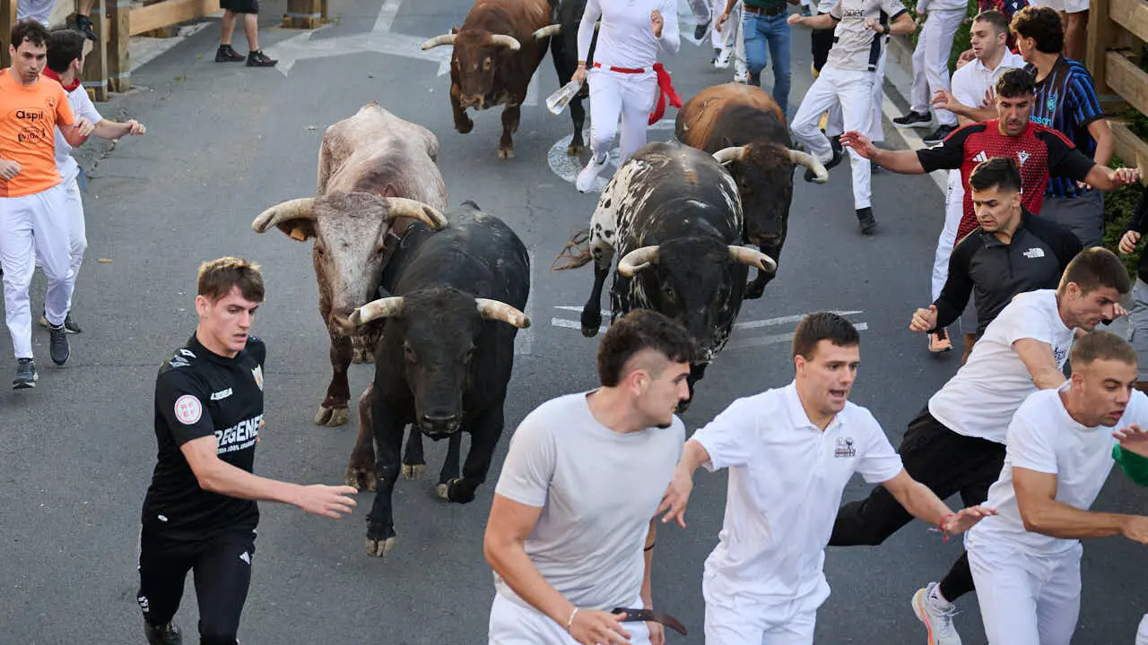 Tercer encierro de fiestas de Tudela 2026 con toros de Ojali&eacute;n. PABLO LASAOSA