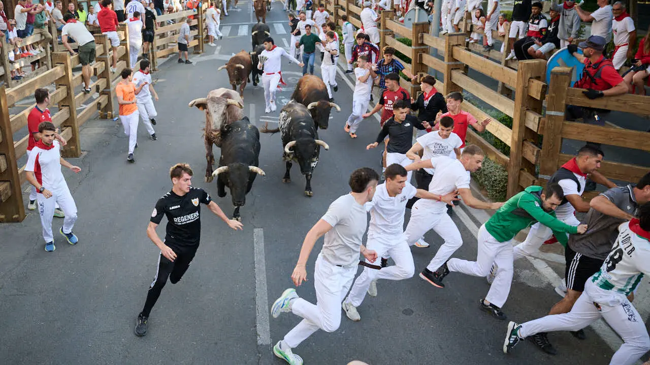 Tercer encierro de fiestas de Tudela 2026 con toros de Ojali&eacute;n. PABLO LASAOSA