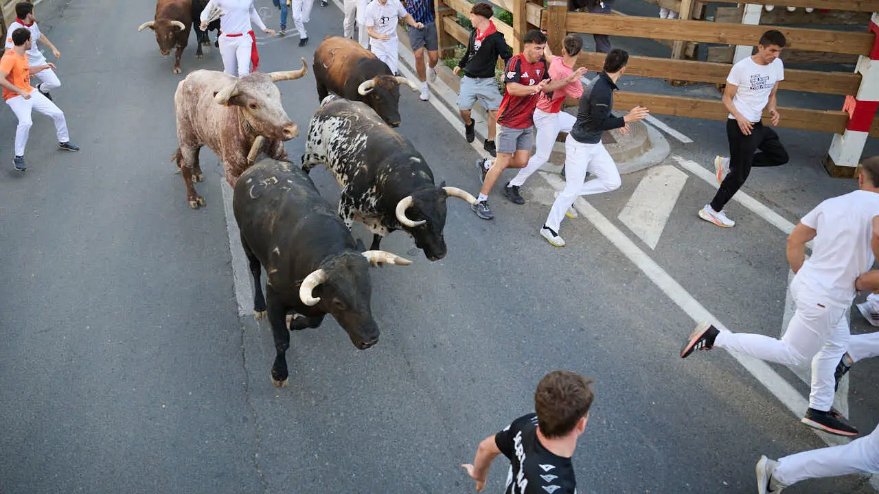 Tercer encierro de fiestas de Tudela 2026 con toros de Ojali&eacute;n. PABLO LASAOSA