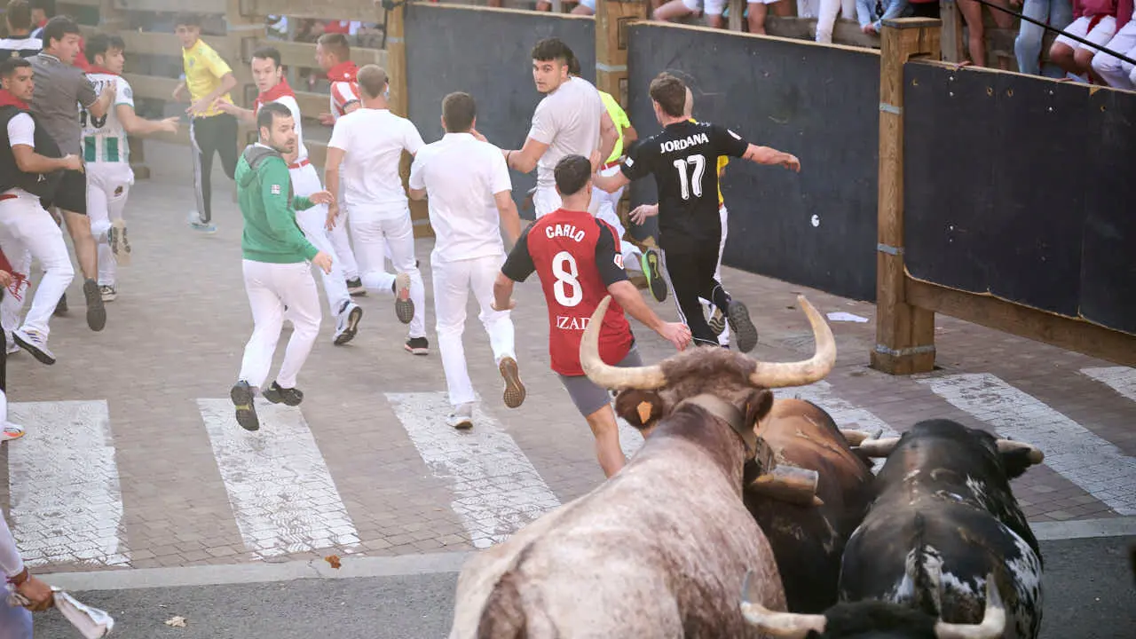 Tercer encierro de fiestas de Tudela 2026 con toros de Ojali&eacute;n. PABLO LASAOSA