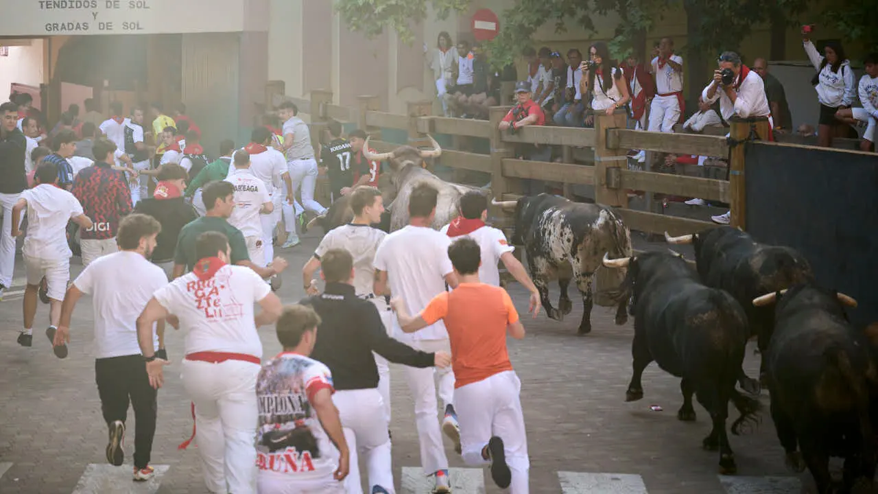 Tercer encierro de fiestas de Tudela 2026 con toros de Ojali&eacute;n. PABLO LASAOSA