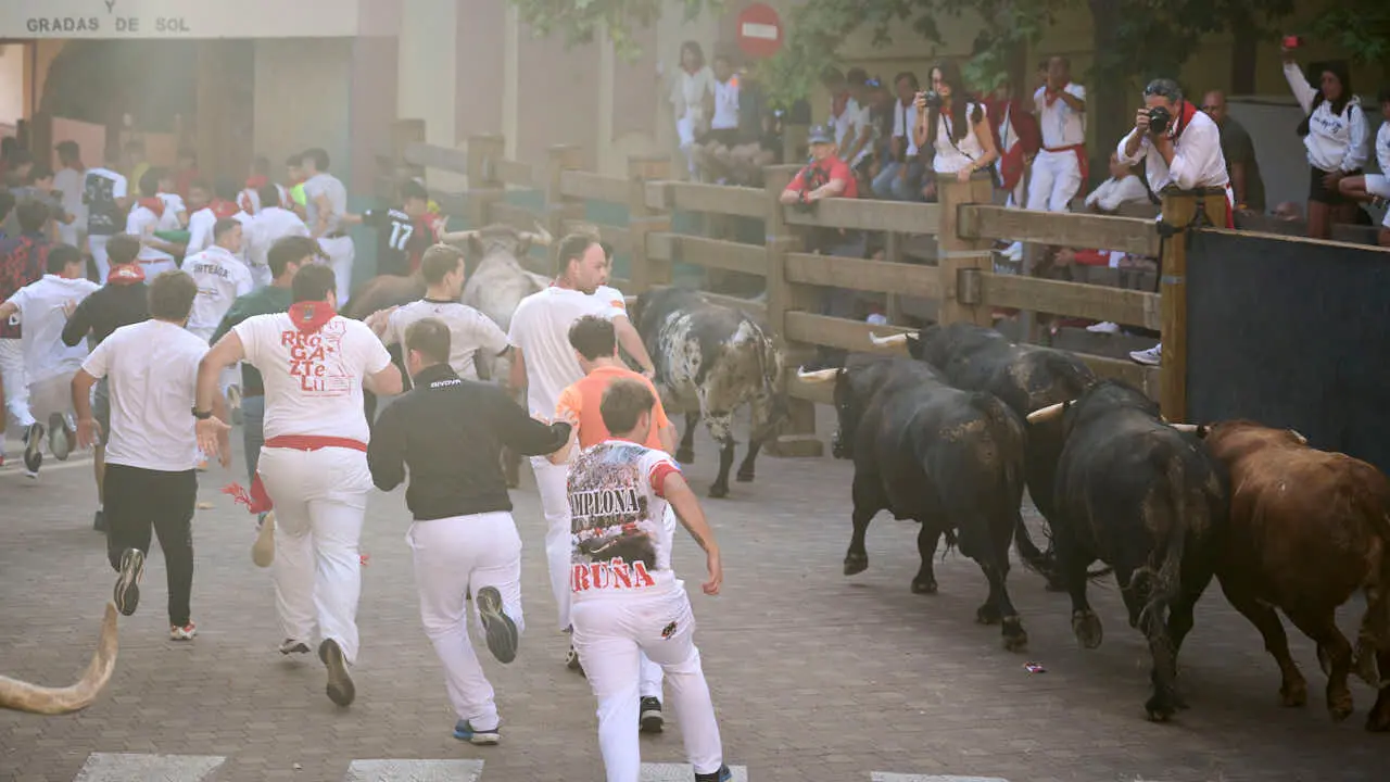 Tercer encierro de fiestas de Tudela 2026 con toros de Ojali&eacute;n. PABLO LASAOSA