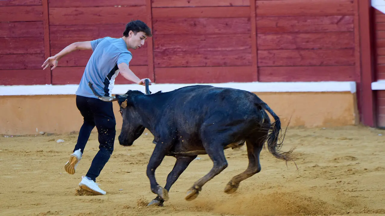 Tercer encierro de las Fiestas de Tudela 2026. I&Ntilde;IGO ALZUGARAY