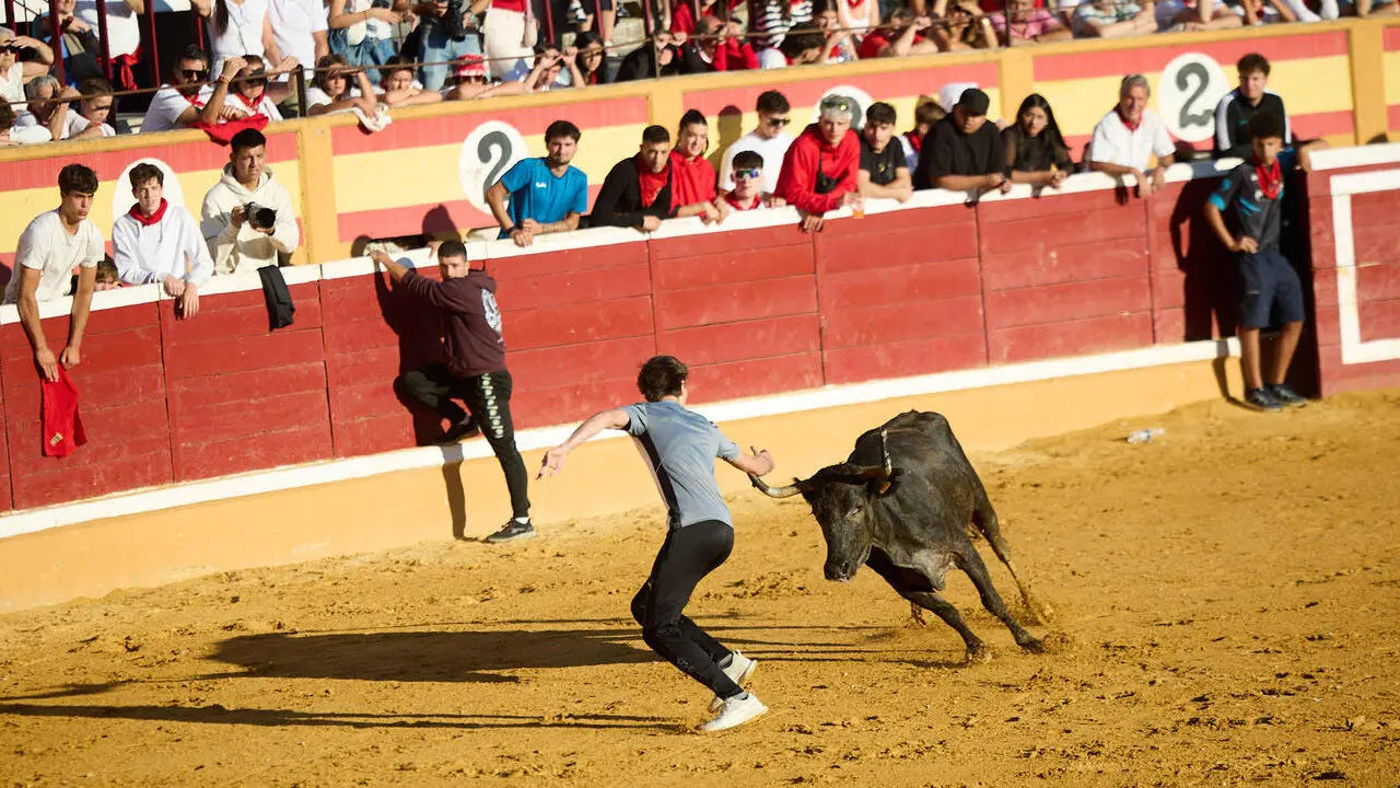 Tercer encierro de las Fiestas de Tudela 2026. I&Ntilde;IGO ALZUGARAY